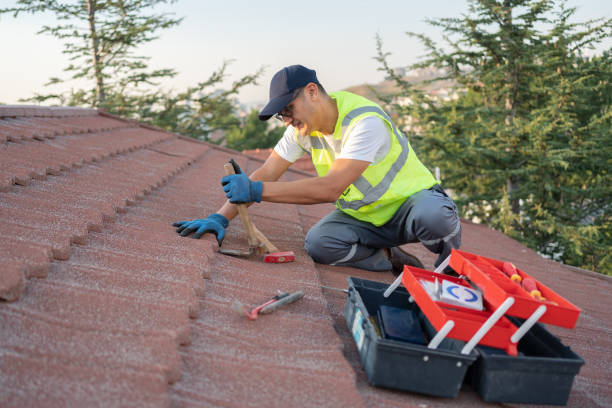 Best Local Roofing Companies  in Botkins, OH